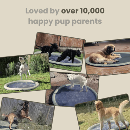 prime™ Sprinkler Pad